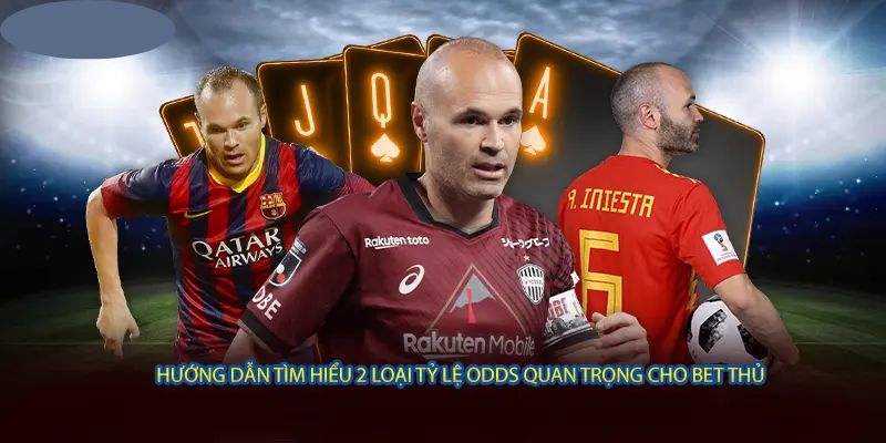 Hướng dẫn tìm hiểu 2 loại tỷ lệ odds quan trọng cho bet thủ